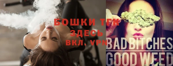 шишки Абдулино