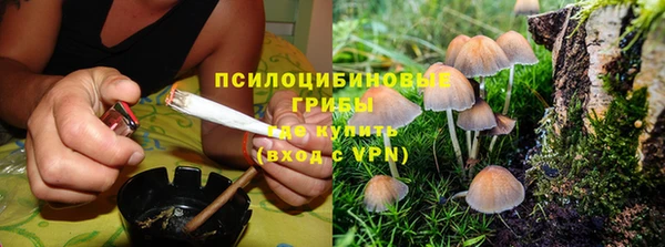 шишки Абдулино
