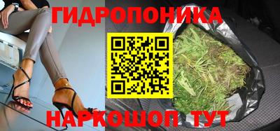 прущие грибы Малоярославец