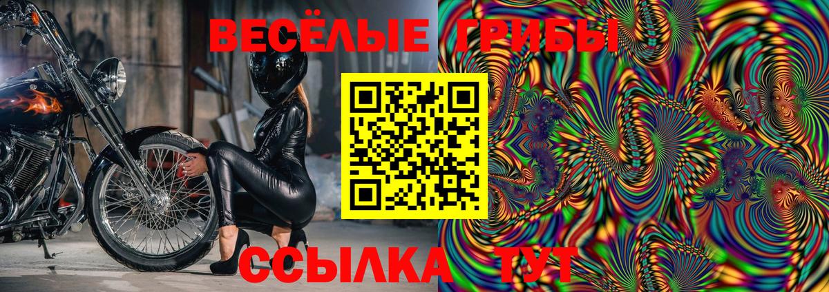 Галлюциногенные грибы GOLDEN TEACHER Зерноград