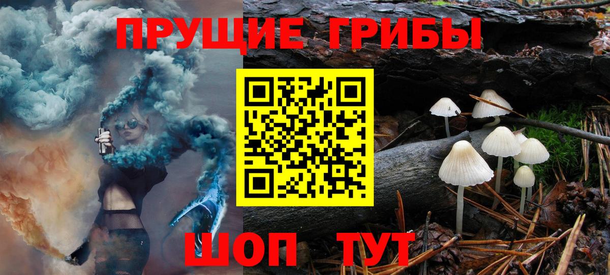 купить наркотик  Вход с VPN  Зерноград  Галлюциногенные грибы GOLDEN TEACHER 